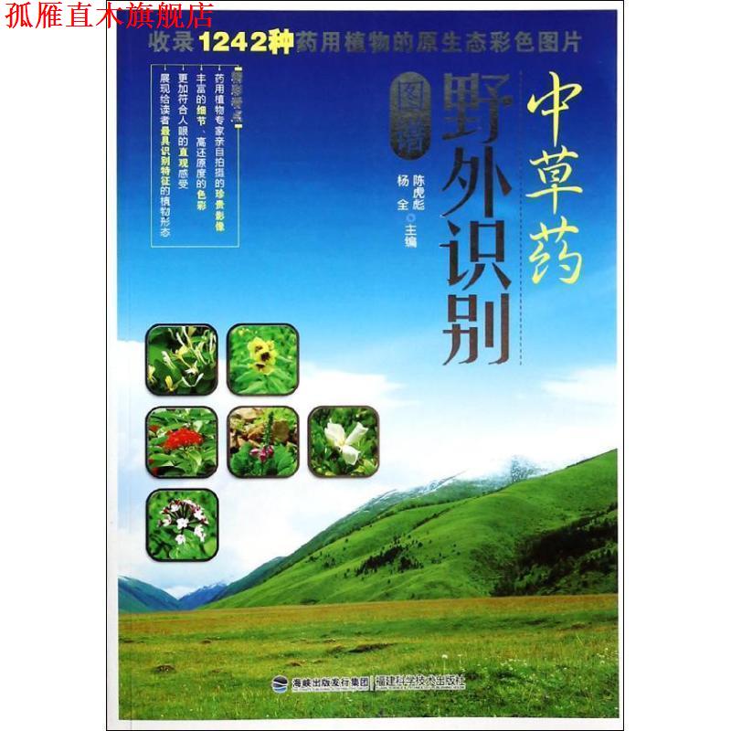 【正版书】 中草药野外识别图谱 陈虎彪,杨全 福建科技出版社
