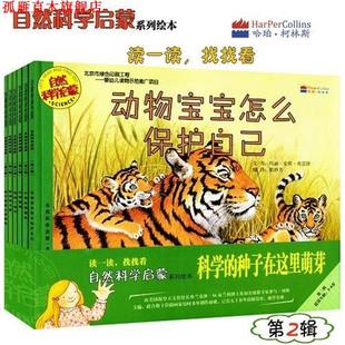 小鸡从哪里来 书 自然科学启蒙 美 京华 艾米·E.斯克兰斯基 正版