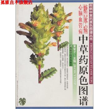 【正版书】 糖尿病心脑血管病中草药原色图谱 黄燮才 编 广西科学技术出版社