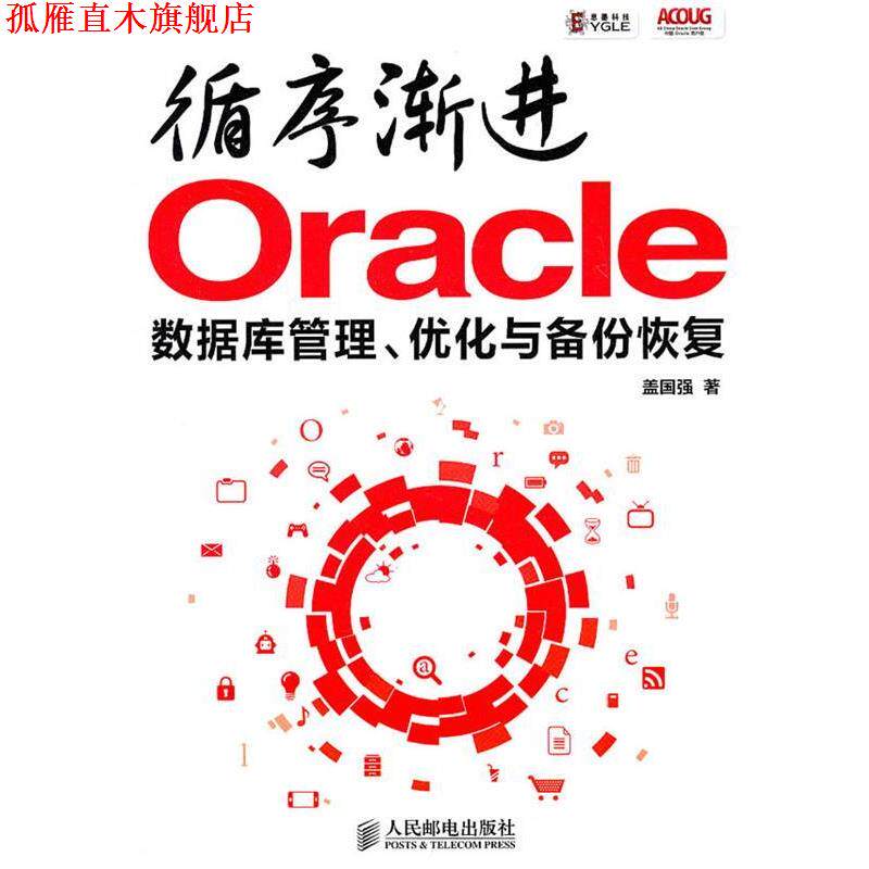 【正版书】 循序渐进Oracle:数据库管理、优化与备份恢复 盖国强　著 人民邮电出版社