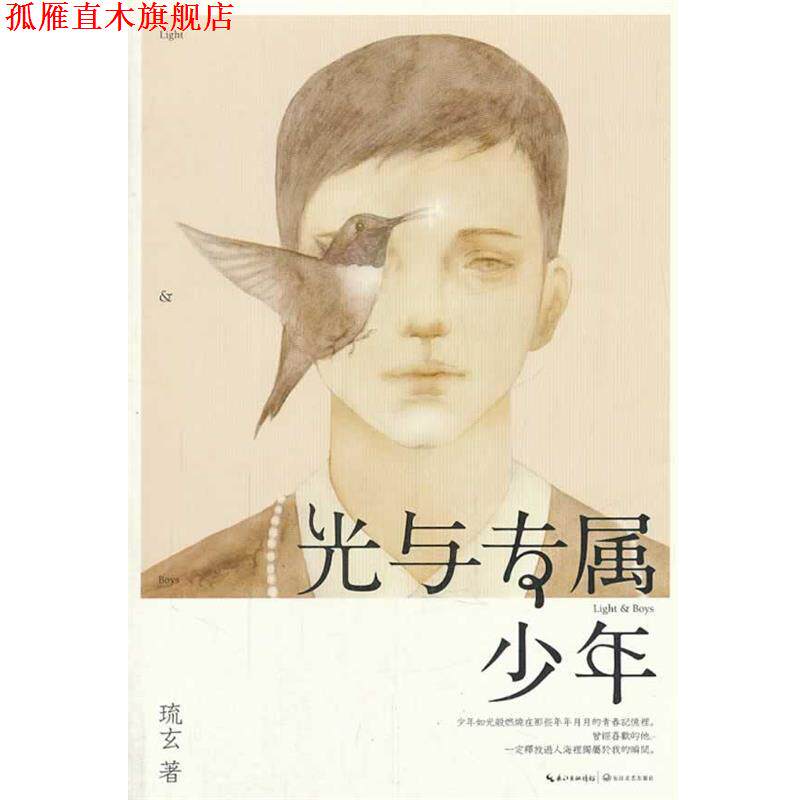 【正版书】 光与专属少年 琉玄 著 长江文艺出版社