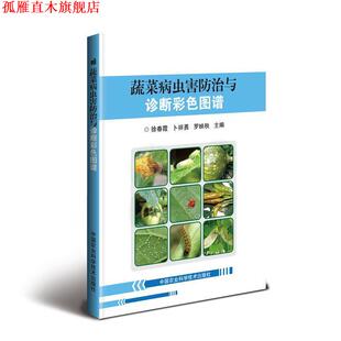 蔬菜病虫害防治与诊断彩色图谱 徐春霞 卜祥勇 中国农业科学技术出版 书 罗映秋 社 正版