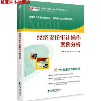 【正版书】 经济责任审计操作案例分析 高雅青,李三喜 著 中国市场出版社
