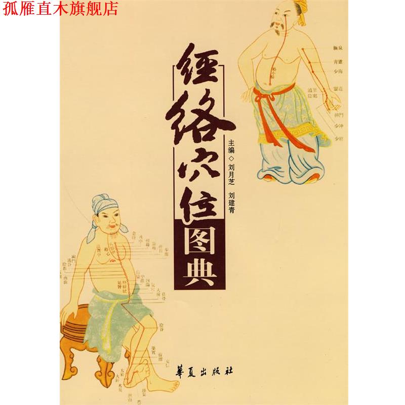 【正版书】 经络穴位图典 刘月芝,刘建青 主编 华夏出版社