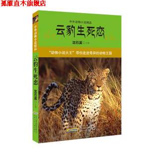 【正版书】 中外动物小说精品:云豹生死恋 沈石溪 安徽少年儿童出版社