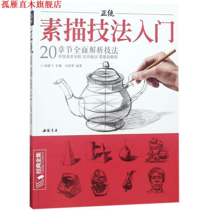 【正版书】 正统素描技法入门 杨建飞 主编,刘乾君 编著 中国书店出版社