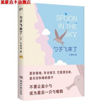 【正版书】 勺子飞来了 王春鸣 湖南文艺出版社