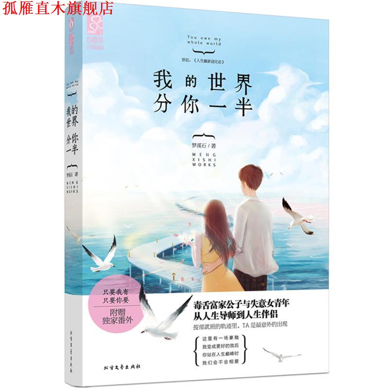 【正版书】 我的世界分你一半 梦溪石 北方文艺出版社