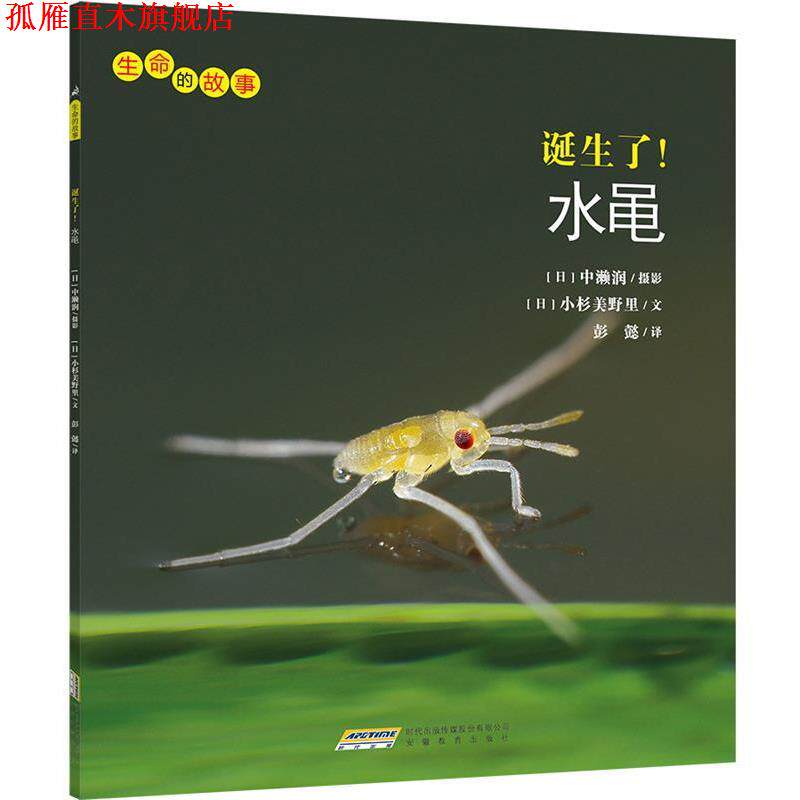 【正版书】 生命的故事:诞生了!水黾 小杉美野里 安徽教育出版社