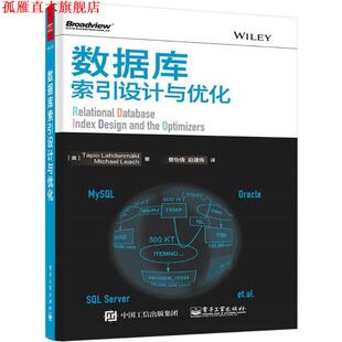 【正版书】 数据库索引设计与优化 (美)拉赫登迈奇,(美)利奇　著,曹怡倩,赵建伟　译 电子工业出版社