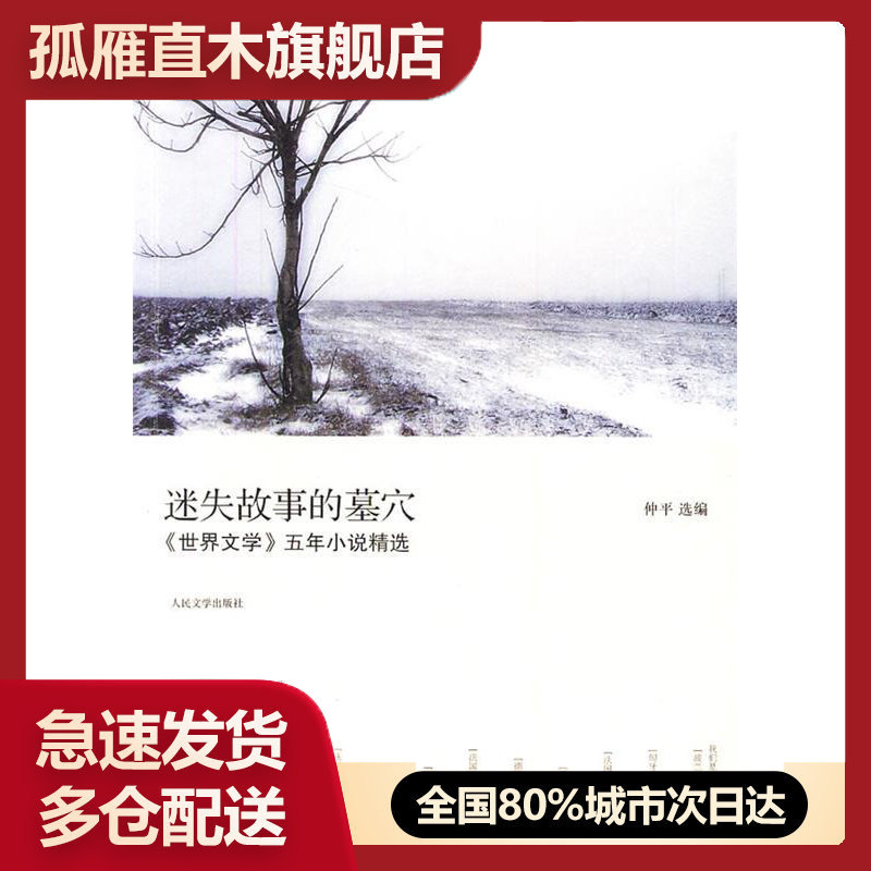 【正版书】迷失故事的墓穴 《世界文学》五年小说精选 仲平