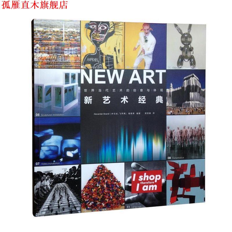 【正版书】 新艺术经典 (德)飞苹果 编著,吴宝康 译 上海文艺出版社