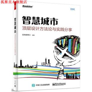 智慧城市顶层设计方法论与实践分享 岳梅樱博士 电子工业出版 正版 社 主编 书 Chen Amy