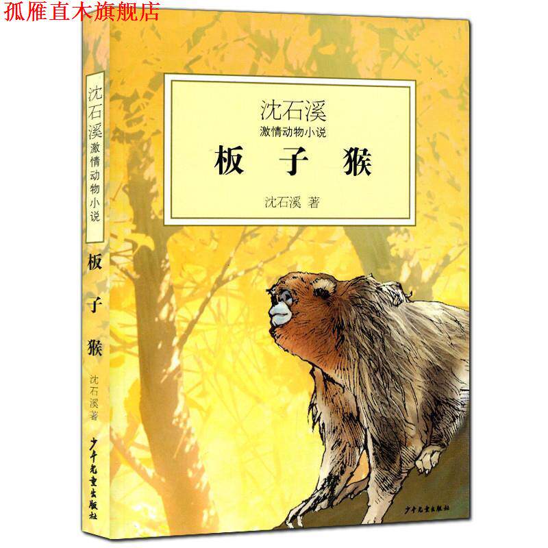 【正版书】 沈石溪激情动物小说--板子猴 沈石溪 少年儿童出版社