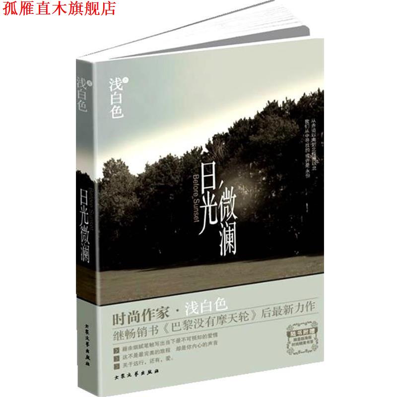 【正版书】 日光微澜 浅白色 著 大众文艺出版社