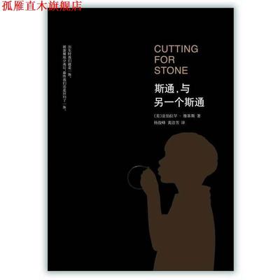 【正版书】 斯通，与另一个斯通 [美] 亚伯拉罕.维基斯 南海出版公司出版社