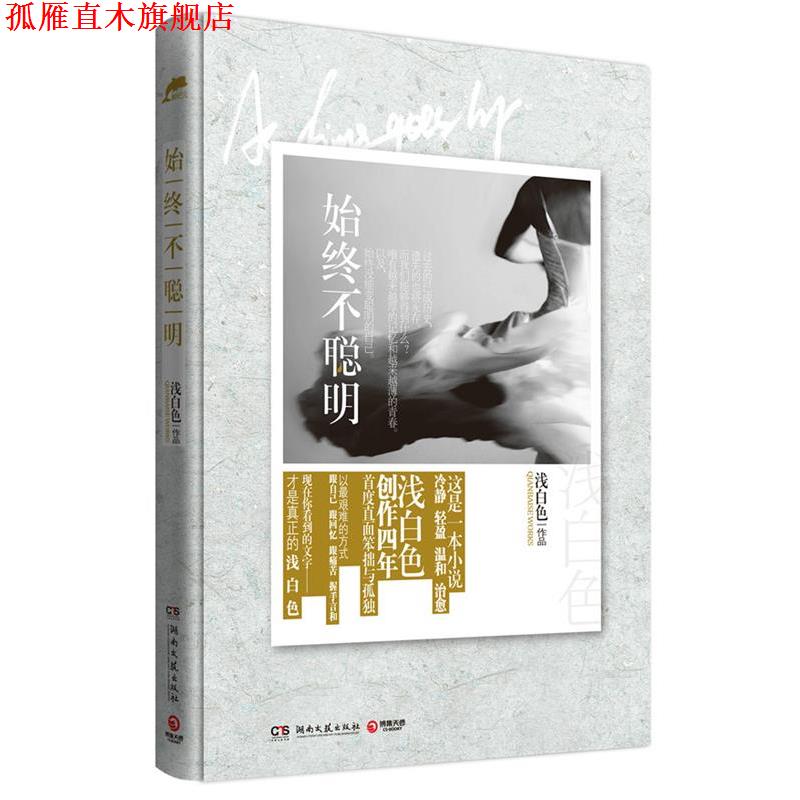 【正版书】 始终不聪明 浅白色 著 湖南文艺出版社