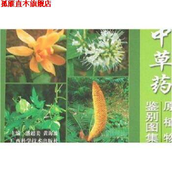 【正版书】 中草药原植物鉴别图集 潘超美,黄海波 著 广西科学技术出版社