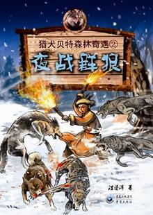 【正版书】 夜战群狼 浬鎏洋 著 重庆出版社