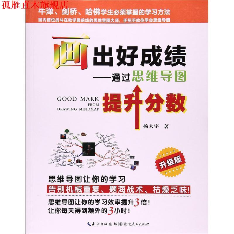 【正版书】 画出好成绩 杨大宇 著 湖北人民出版社
