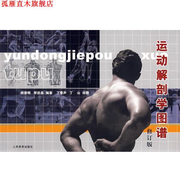 【正版书】 运动解剖学图谱 顾德明,缪进昌 编著,丁誉声,丁山 绘图 人民体育出版社