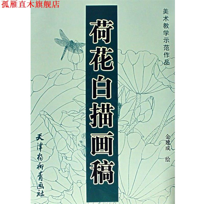 【正版书】 荷花白描画稿 美术教学示范作品 金建成 绘 天津杨柳青画社