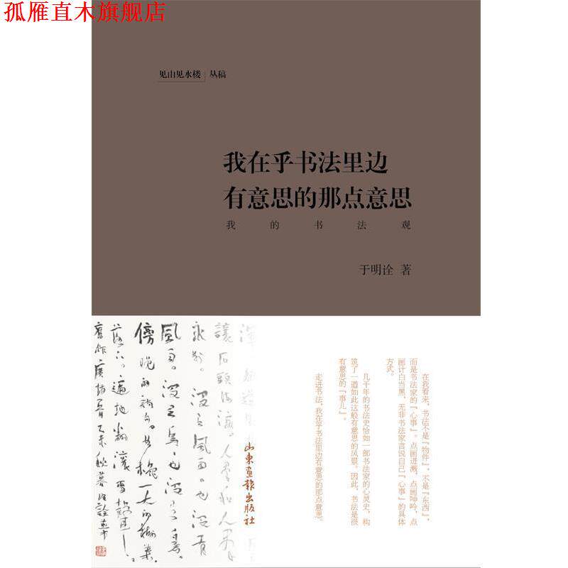 【正版书】 我在乎书法里边有意思的那点意思 于明诠 著 山东画报出版社