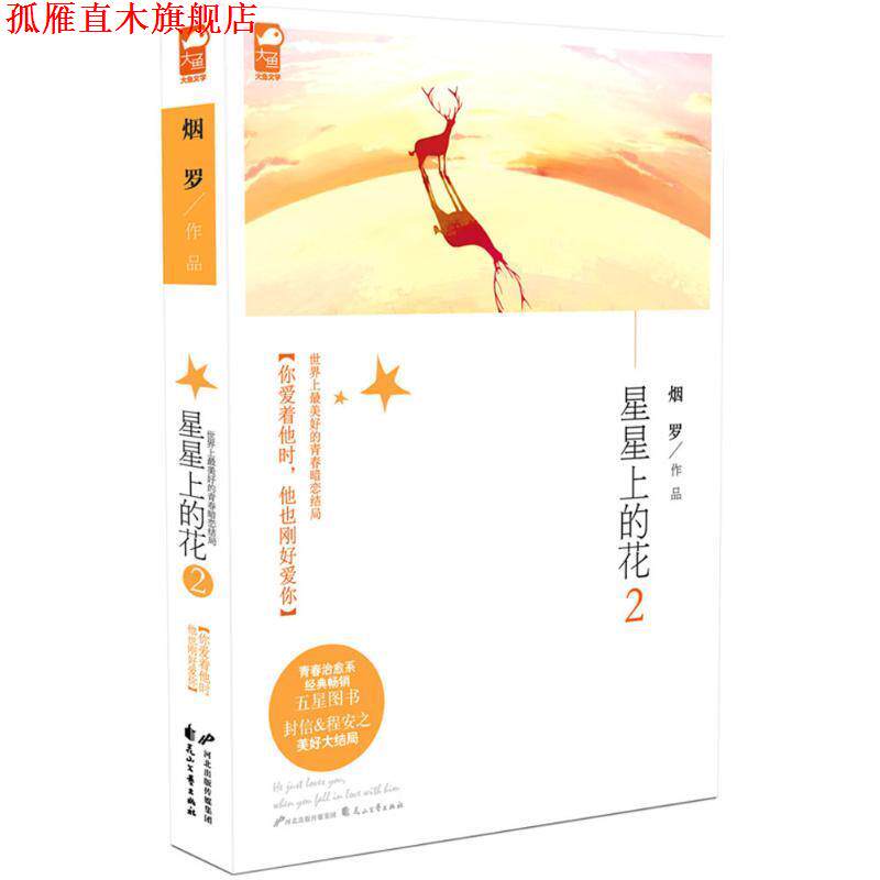 【正版书】 星星上的花2 烟罗 著 花山文艺出版社