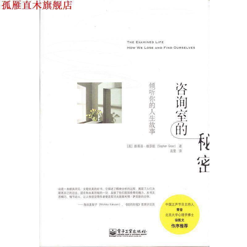 【正版书】 咨询室的秘密:倾听你的人生故事 Stephen Grosz(斯蒂芬 格罗斯) 著,高雯 译 电子工业出版社