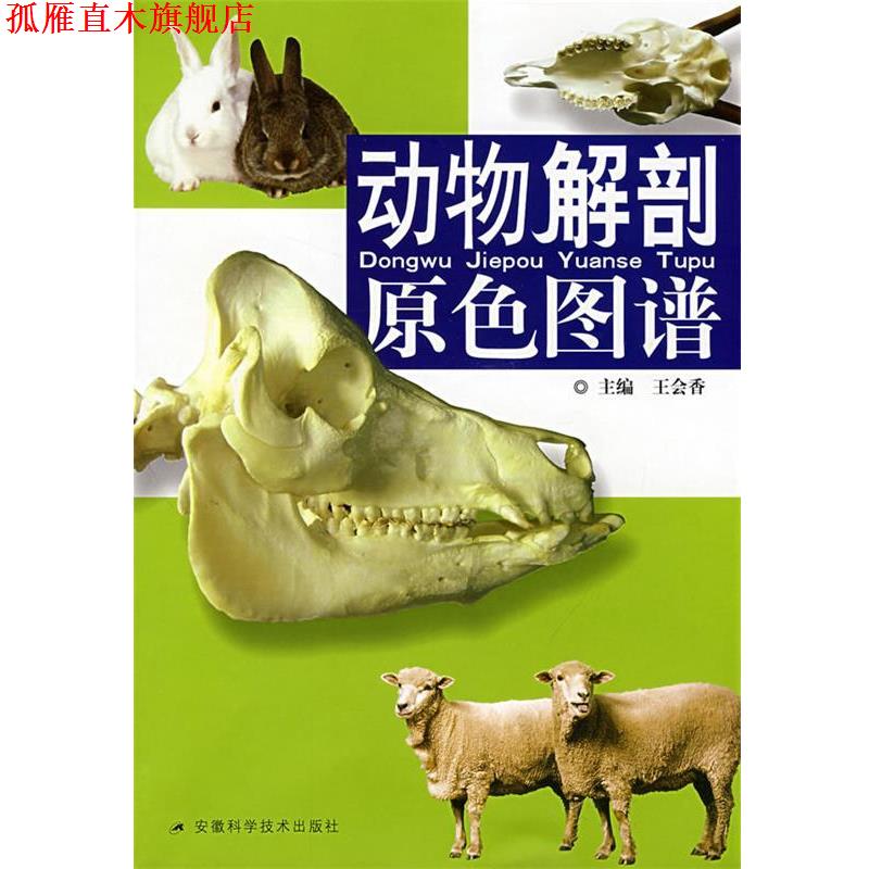 【正版书】 动物解剖原色图谱 王会香 主编 安徽科学技术出版社