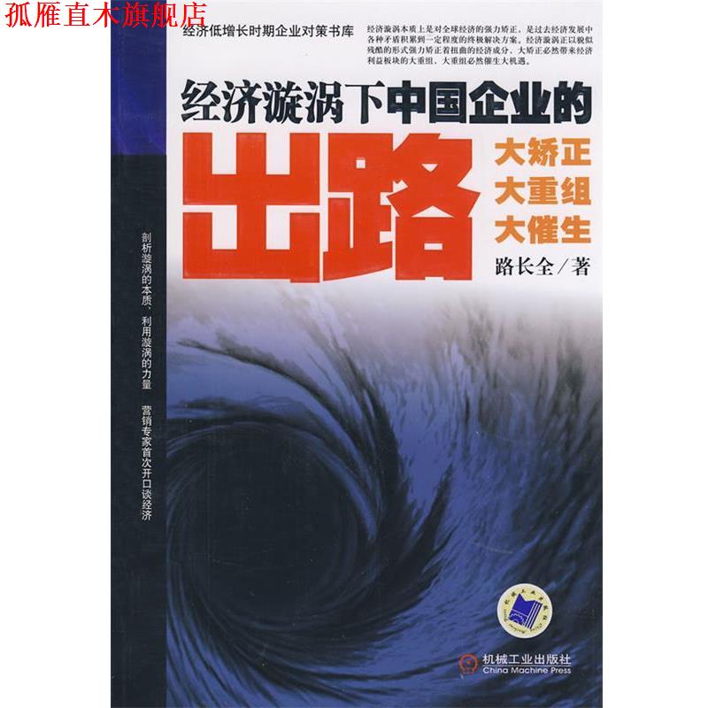 【正版书】 经济漩涡下中国企业的出路 路长全 著 机械工业出版社
