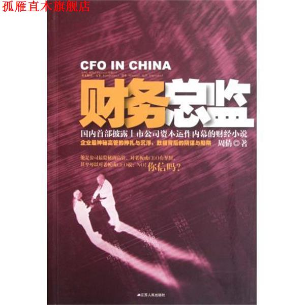 【正版书】 财务总监 周倩 著 江苏人民出版社