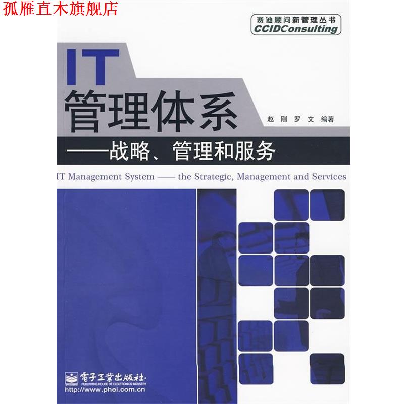【正版书】 IT管理体系:战略、管理和服务 赵刚,罗文 著 电子工业出版社