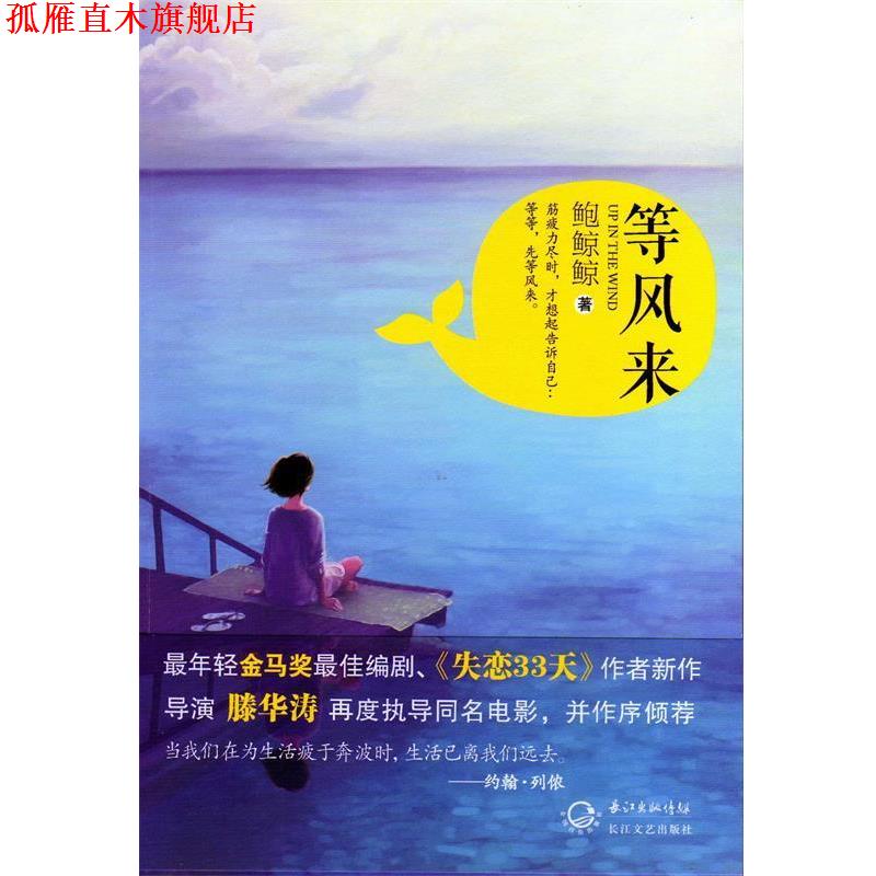 【正版书】 等风来 鲍鲸鲸 著 长江文艺出版社