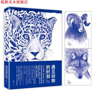 【正版书】 遇见动物的时刻 克雷格·查尔兹 (Craig Child), 韩玲 浙江文艺出版社