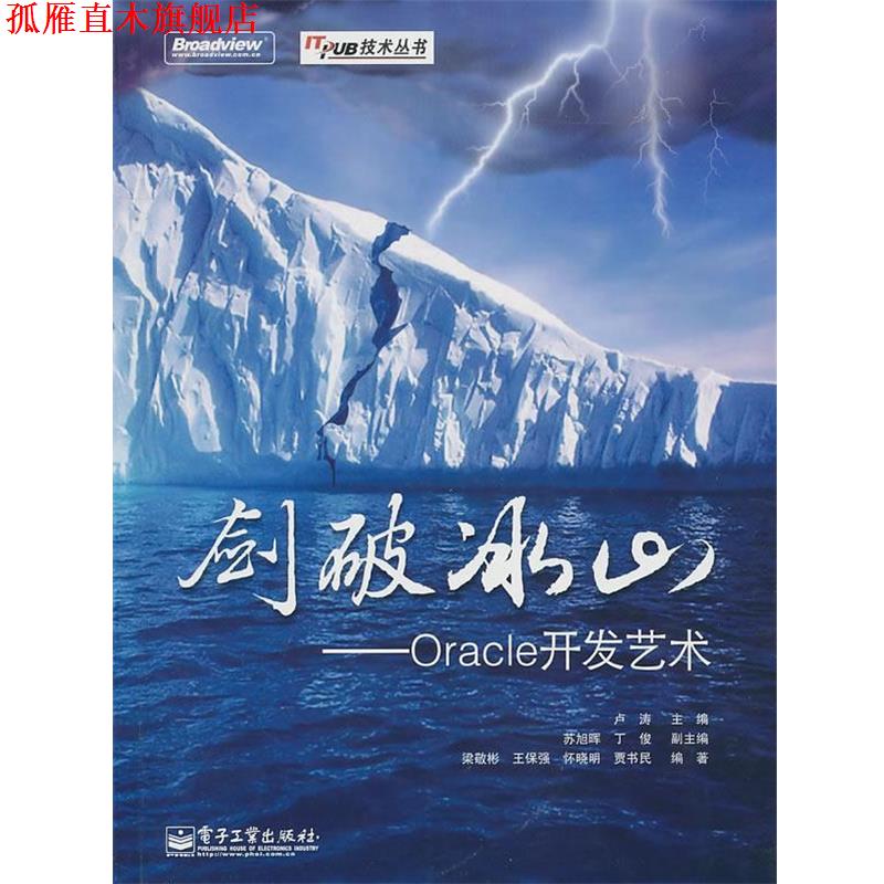 【正版书】 剑破冰山—Oracle开发艺术 卢涛主编,苏旭晖 丁俊 副主编,梁敬彬 王保强 怀敬明 贾书民 编著 电子工业出版社
