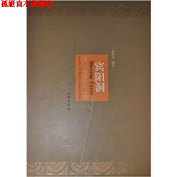 【正版书】 宾阳洞--龙门石窟04 140 159窟 刘景龙 文物出版