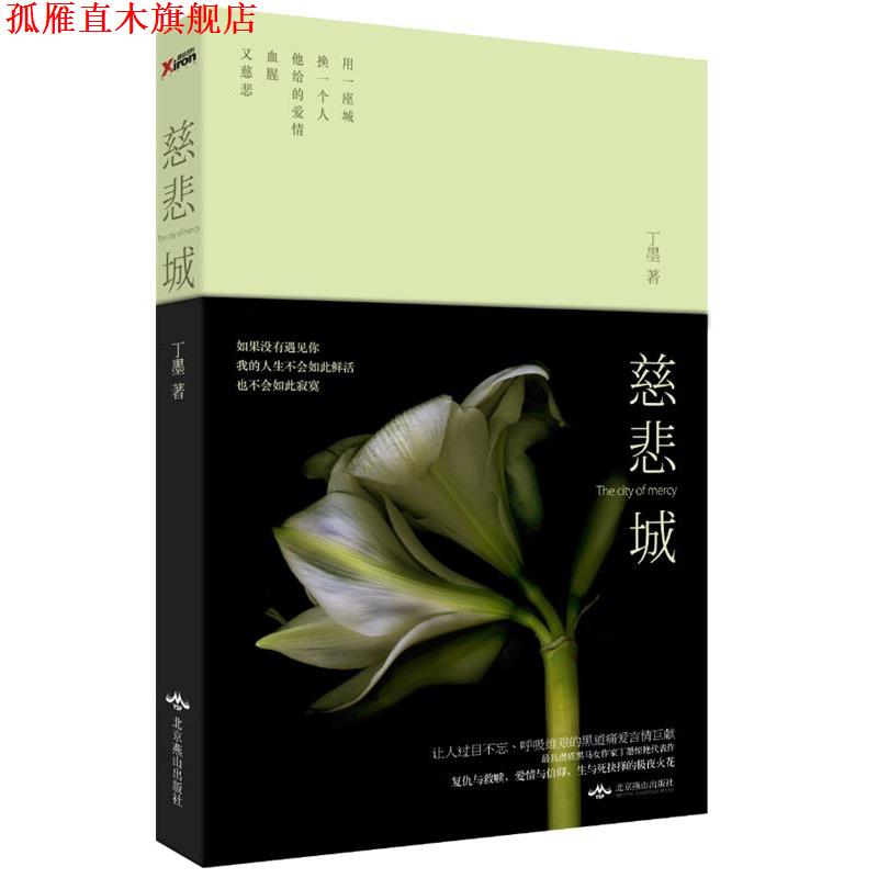 【正版书】 慈悲城 丁墨 北京燕山出版社