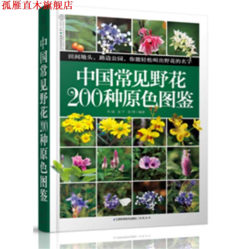 【正版书】 中国常见野花200种原色图鉴 朱强,金宁,彭博 编著 江苏科学技术出版社
