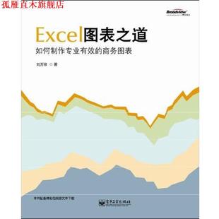 正版 电子工业出版 书 刘万祥 社 Excel图表之道