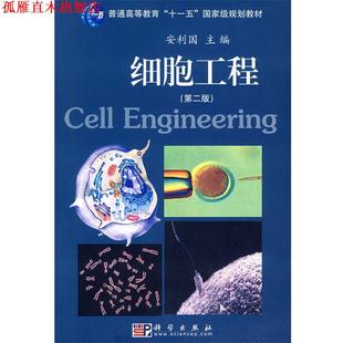 正版 科学出版 书 安利国 社 细胞工程
