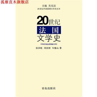 【正版书】 20世纪外国国别文学史丛书:20世纪法国文学史 张泽乾,周家树,车槿山 著 青岛出版社