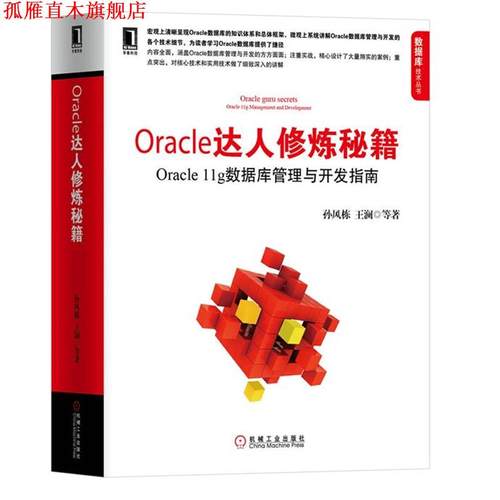 【正版书】 Oracle达人修炼秘籍:Oracle 11g数据库管理与开发指南 孙风栋 机械工业出版社