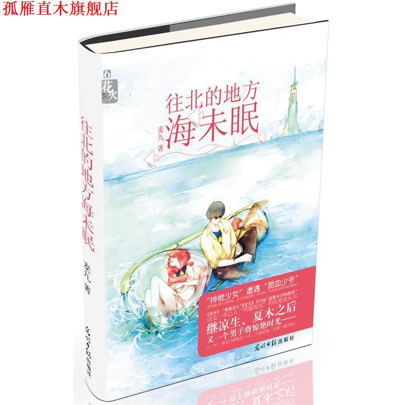【正版书】 往北的地方海未眠 麦九　著 光明日报出版社