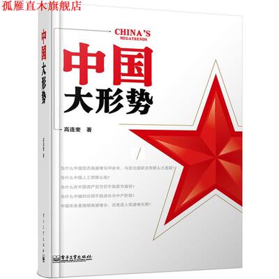 【正版书】 中国大形势:通盘揭示中国真相，改变以往看待中国的思路 高连奎 电子工业出版社