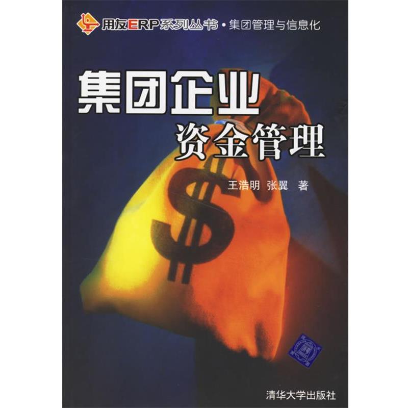 【正版书】 集团企业资金管理 王浩明,张翼 著 清华大学出版社
