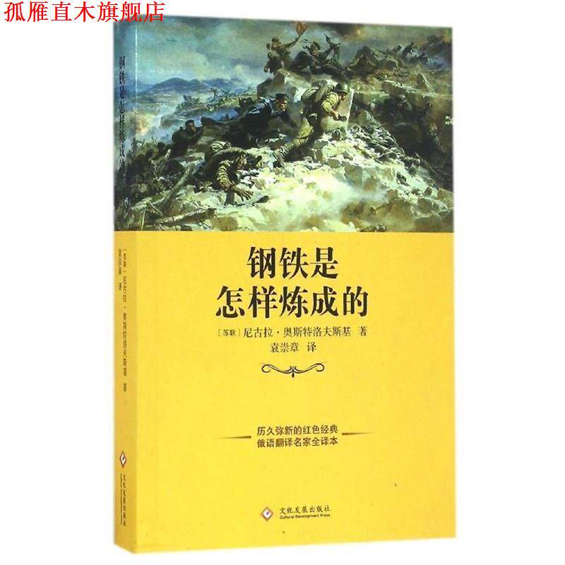【正版书】 钢铁是怎样炼成的 [苏联] 尼古拉·奥斯特洛夫斯基 著,袁崇章 译 文化发展出版社