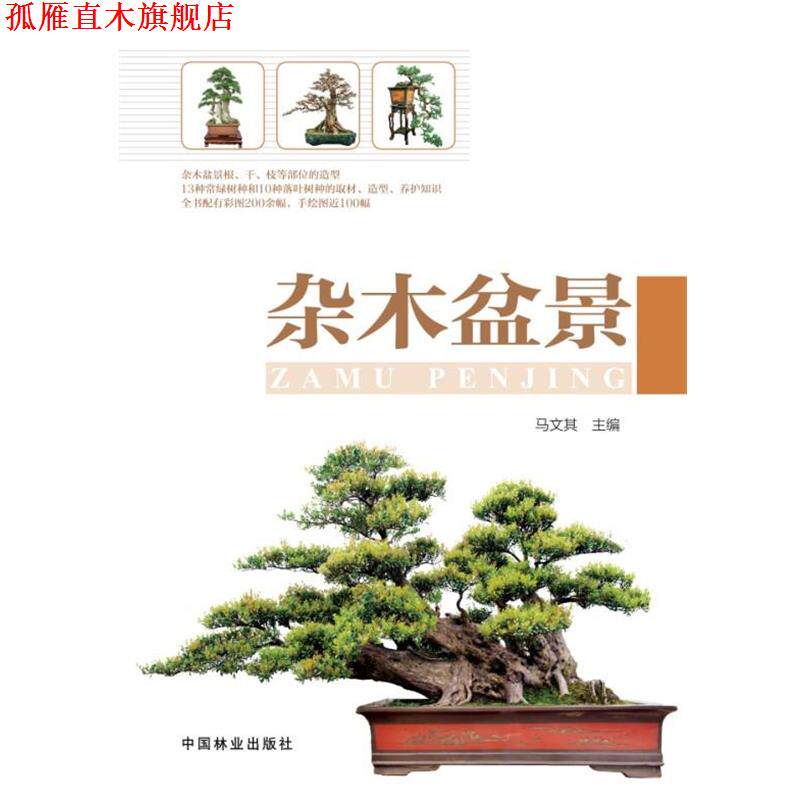 【正版书】 杂木盆景 马文其 著 中国林业出版社