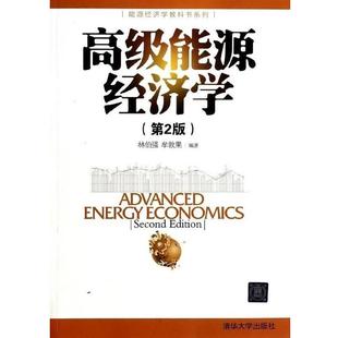 【正版书】 能源经济学 林伯强 能源经济学教科书系列 清华大学出版社