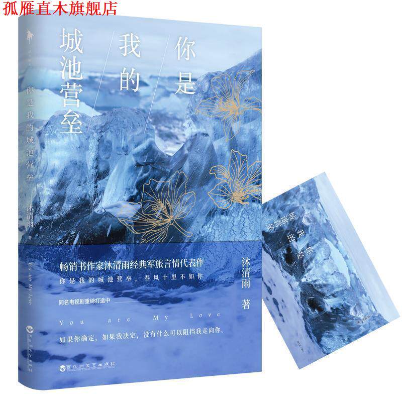 【正版书】 你是我的城池营垒 沐清雨 百花洲文艺出版社